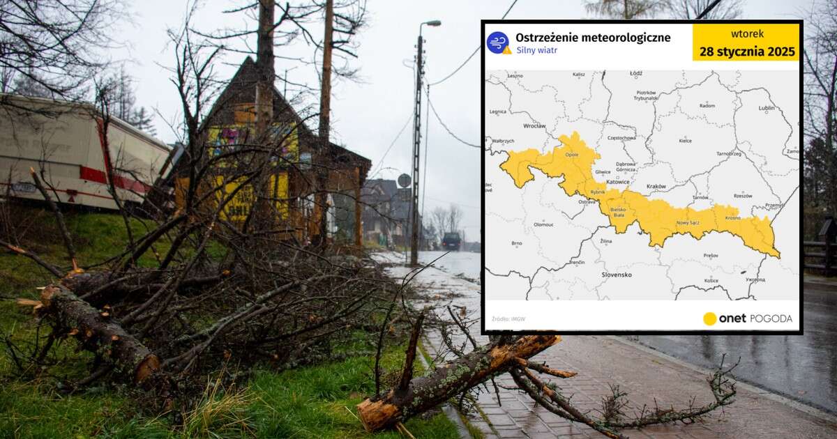 IMGW wydał alerty przed wichurami. Niebezpieczna pogoda w części Polski