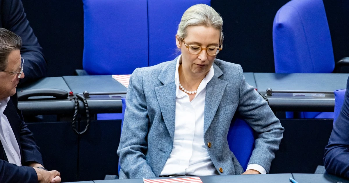 Cios dla skrajnej prawicy w Niemczech. Eksperci wyjaśniają, czy AfD zostanie zdelegalizowana