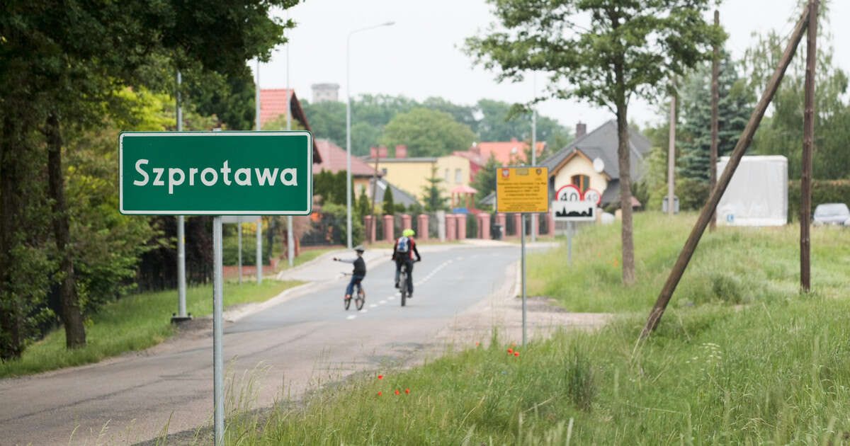 Kotka uciekła przed powodzią na drzewo. Wzruszający ratunek w zalanej Szprotawie