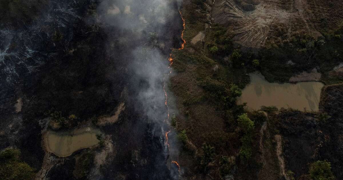 Niepokojący raport o Amazonii. Tegoroczne pożary największe od niemal dwóch dekad