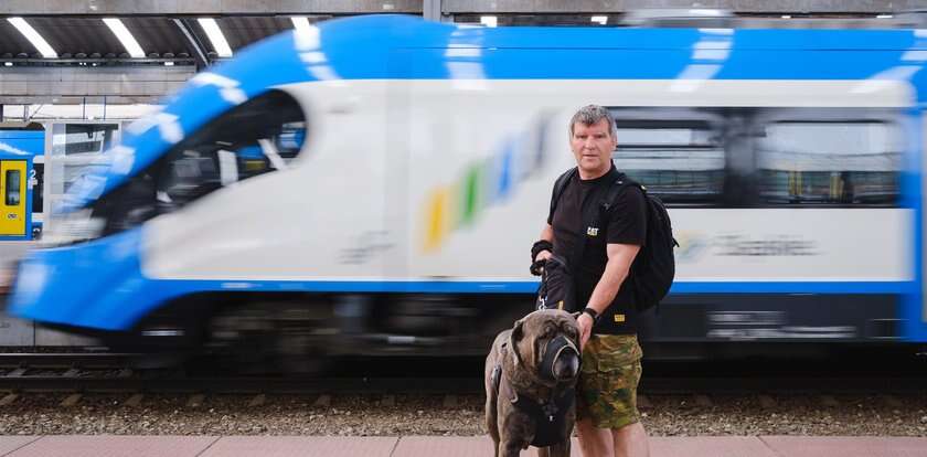 Urząd ujawnił wstydliwe dane. Tyle pociągów się spóźniło. Nie uwierzysz, jakie są powody. 