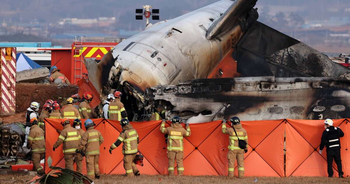 Doświadczony pilot o katastrofie w Korei Południowej. Zwraca uwagę na rolę dwóch stewardess