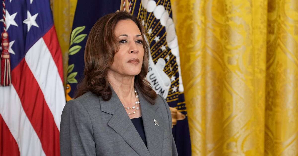 Kamala Harris z poparciem w kluczowym stanie. Przedstawiciele Polonii wyjaśnili decyzję