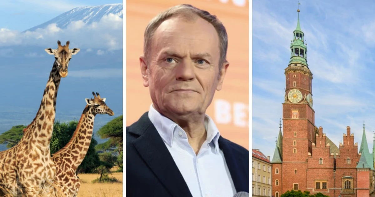 Sprawdź, czy twój umysł to fenomen. 15/15 punktów dla geniuszy!