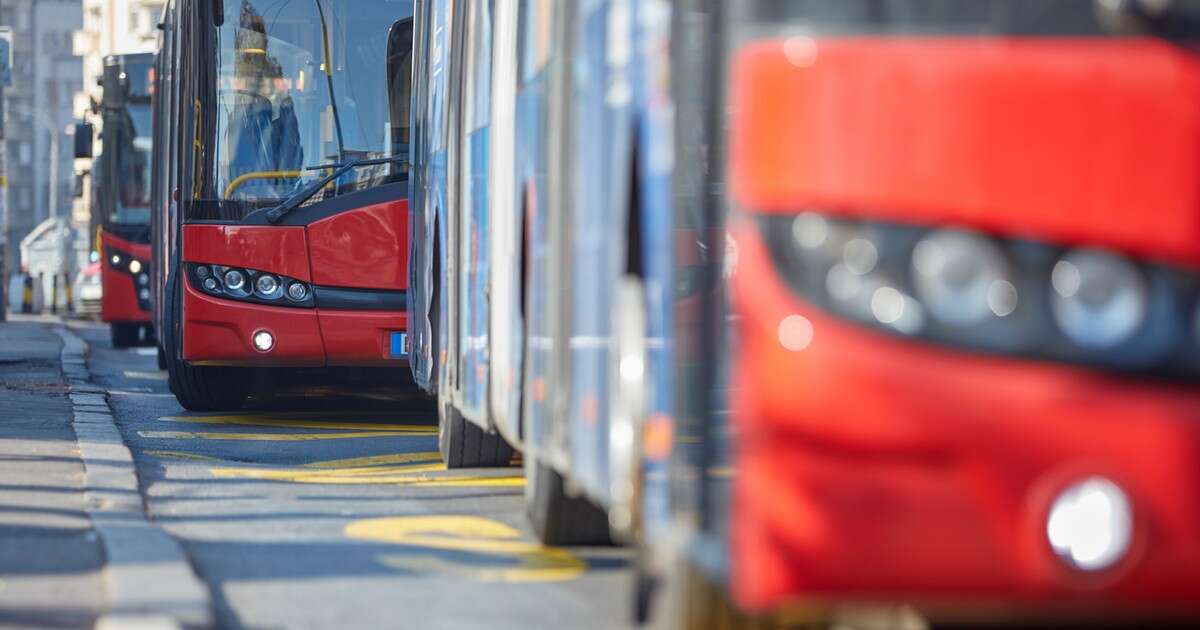 Kierowca autobusu zdradza kulisy zawodu. 