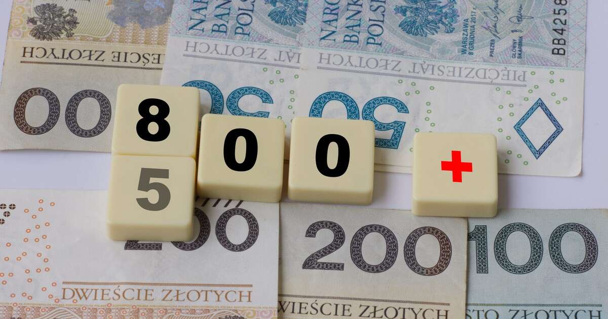 800 plus dla cudzoziemców. Ponad pół miliona wypłat