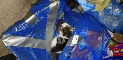 Karton szczelnie zaklejony niebieską taśmą. Na taki widok nikt nie był gotowy