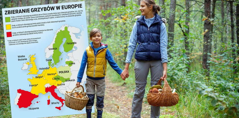 Na grzyby za granicą. Zobacz, gdzie można je zbierać jak w Polsce