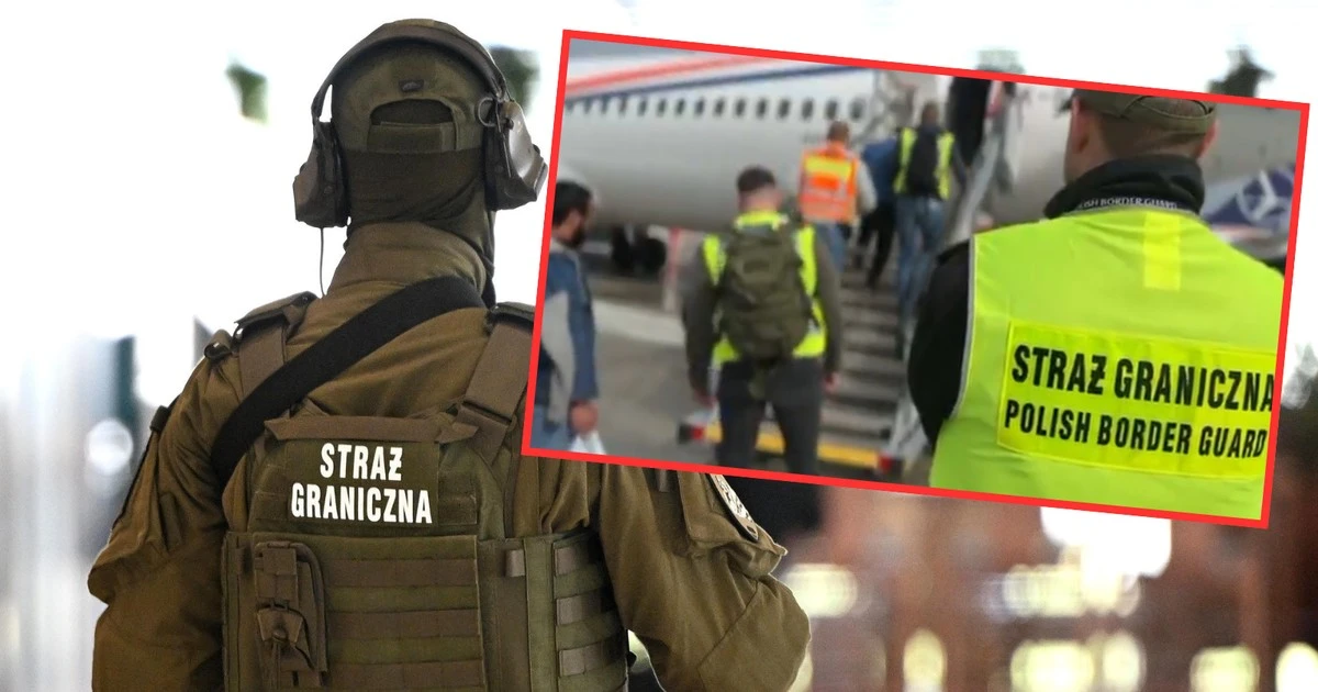 Gruzińskie gangi w Polsce. Rzecznik MSWiA o największej deportacji w tym roku