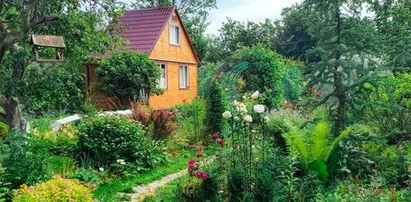 Działkowcy muszą się tego wystrzegać. Kara może sięgnąć miliona złotych