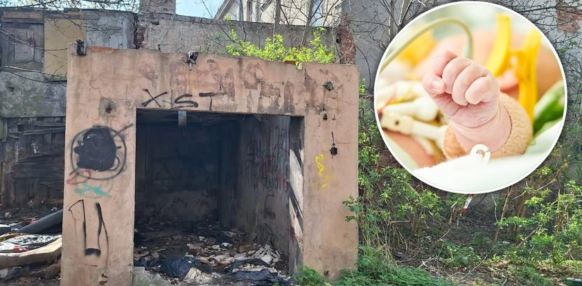 Jagódka porzucona w pustostanie. Polska trzymała kciuki. Wiemy, co się z nią stało