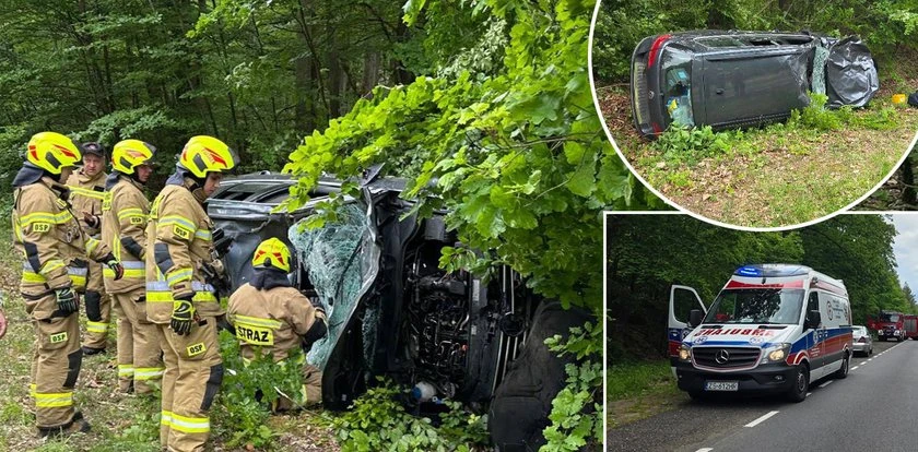 Groza pod Wałczem. Nagle na drogę wbiegł żubr. Doszło do dramatu. Te zdjęcia mówią wszystko