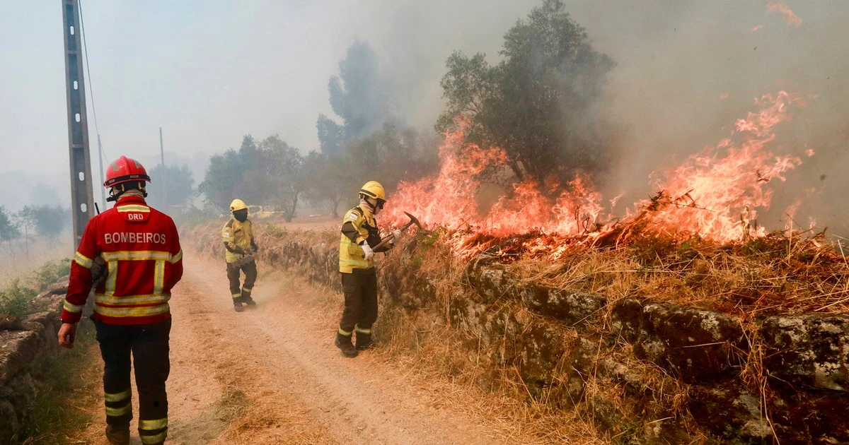 Pożary i wysoka temperatura zagrażają Portugalii. Rząd ogłosił stan alarmowy