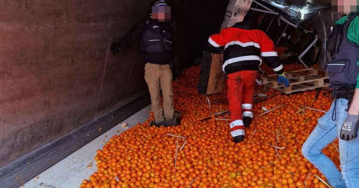 Ciężarówka z mandarynkami wpadła do rowu. Pod nimi kryło się coś jeszcze