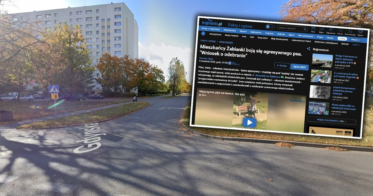 Ludzie na ich widok uciekają w popłochu. Coś złego dzieje się na tym osiedlu w Gdańsku