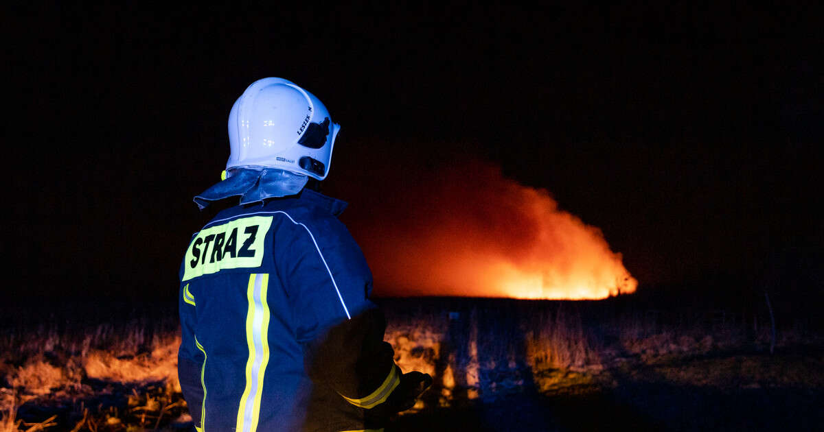 Codziennie narażają swoje życie i zdrowie. Sprawdzamy, ile zarabiają strażacy