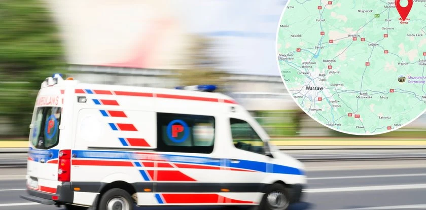 Bernardyn zaatakował 11-latkę wracającą ze szkoły. Dziewczynka trafiła do szpitala