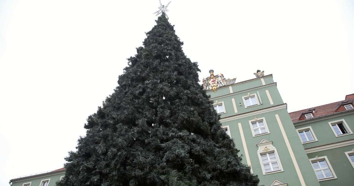 Czy 27 grudnia będą czynne urzędy. Wyjaśniamy