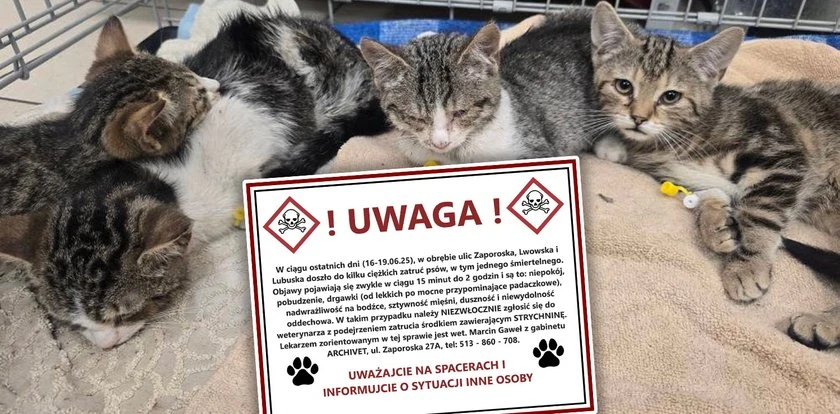 Mieszkańcy Wrocławia przerażeni. Po mieście grasuje truciciel. 