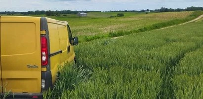 Rajd przez pole kukurydzy. Pijany 55-latek zniszczył zasiewy sąsiadowi