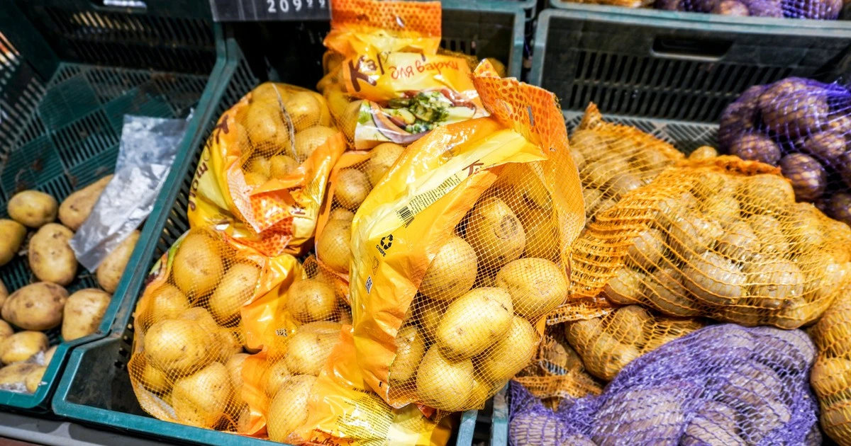 Ceny ziemniaków w Rosji rosną najszybciej od lat. Naukowcy mają rozwiązanie — odkryli metodę na ich domową uprawę