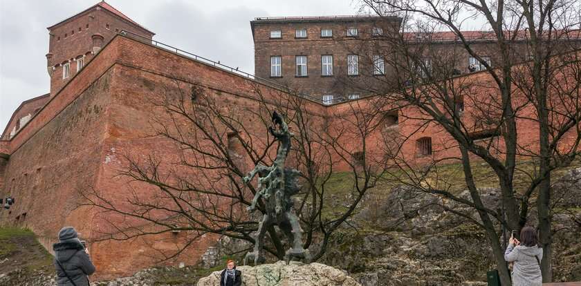 Modernizacja instalacji gazowej Smoka Wawelskiego