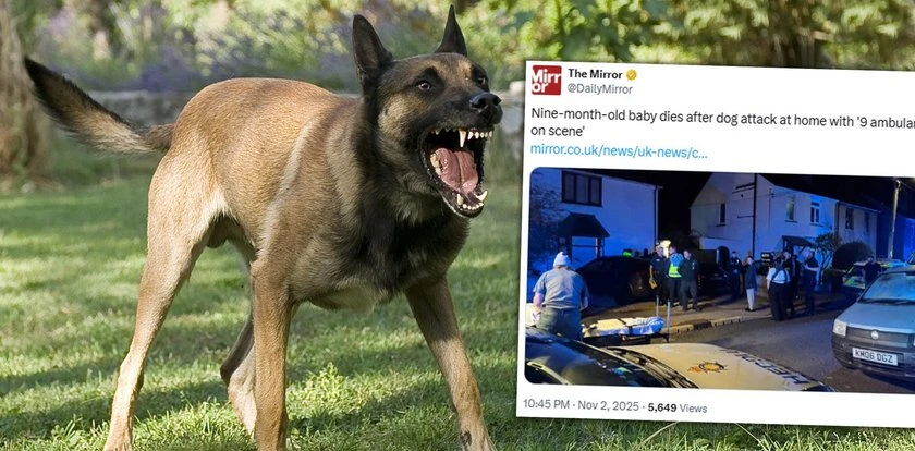 Po okolicy niósł się przeraźliwy skowyt. Nie żyje 9-miesięczne niemowlę