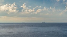 NATO oczyszcza Bałtyk z min. Nowa misja u wybrzeży Finlandii