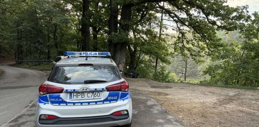 Cudem uniknęła śmierci! Auto spadło ze skarpy przy Jeziorze Pilchowickim