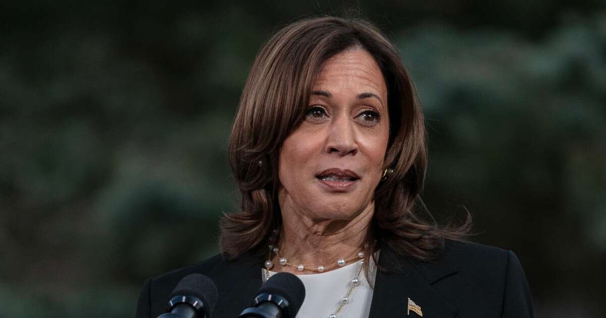 Kamala Harris miała ostrzegać Wołodymyra Zełenskiego. Chciała nazwiska jego następcy