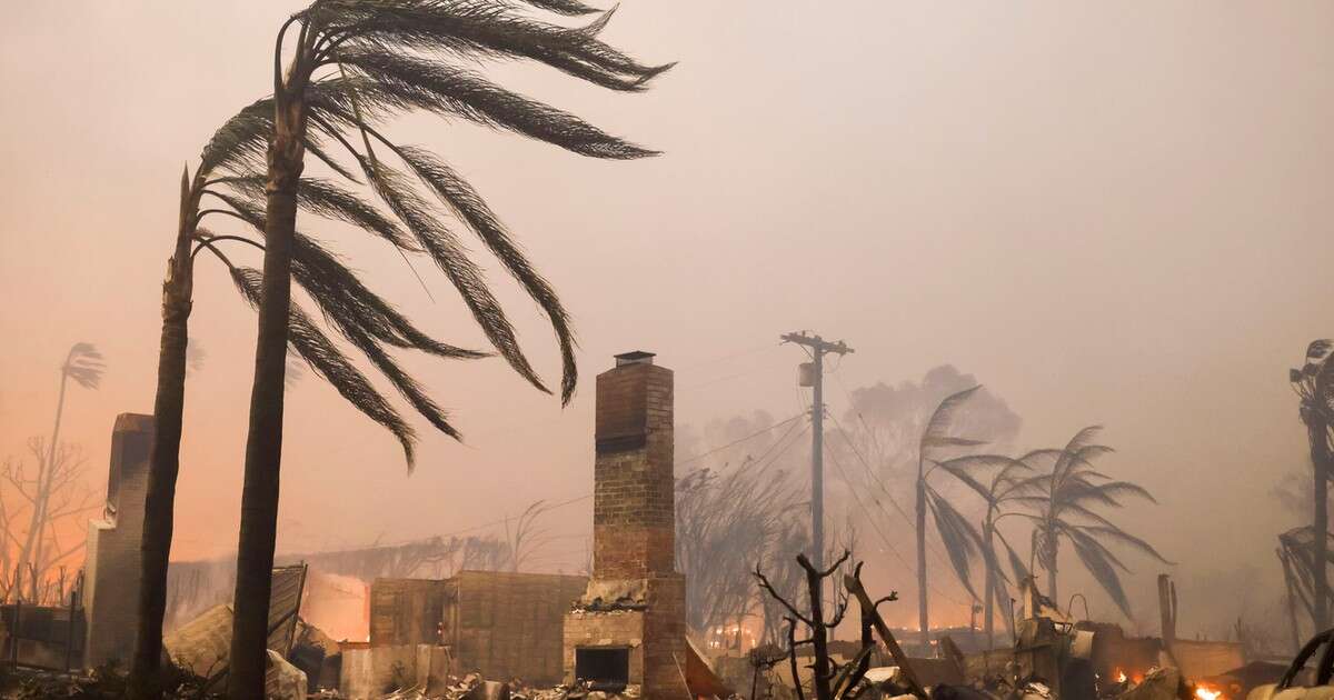 Pożar pustoszy hrabstwo Los Angeles. 