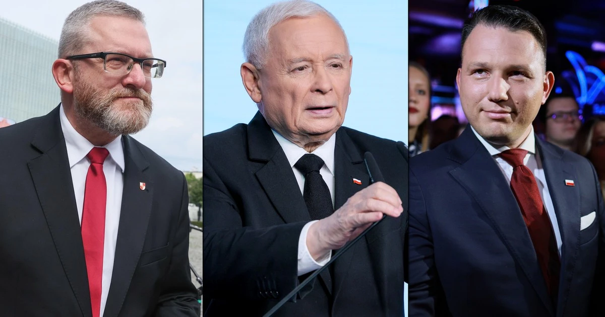 Grzegorz Braun i Jarosław Kaczyński mają wspólny interes. 