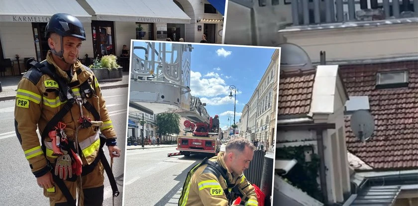 Ludzie nie mogli uwierzyć własnym oczom. Widok na dachu przyprawił ich o gęsią skórkę