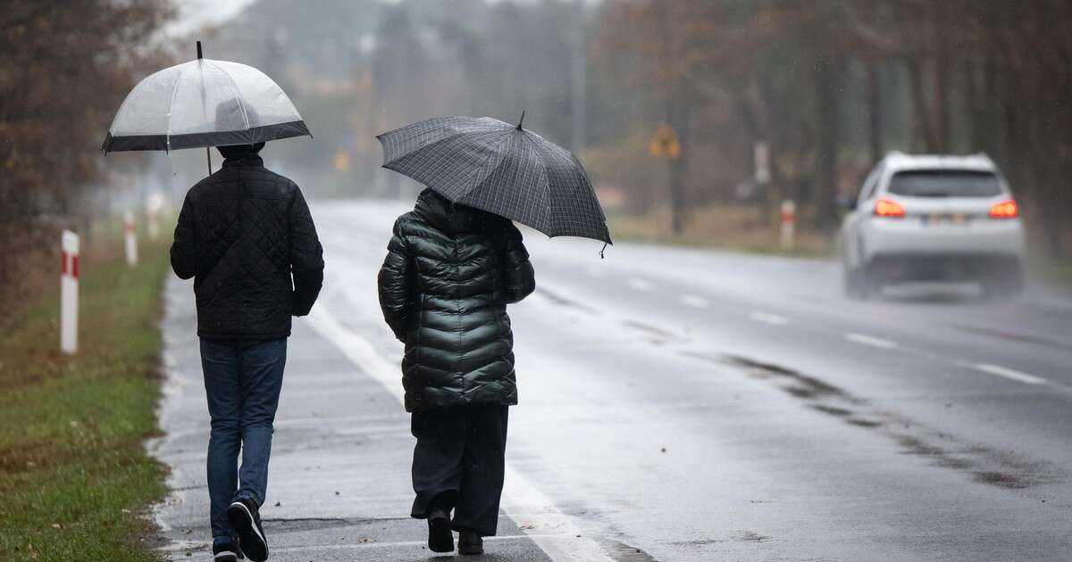 Zima na łagodnych obrotach. Nad Polską wyż, ale aura pełna pułapek [POGODA]