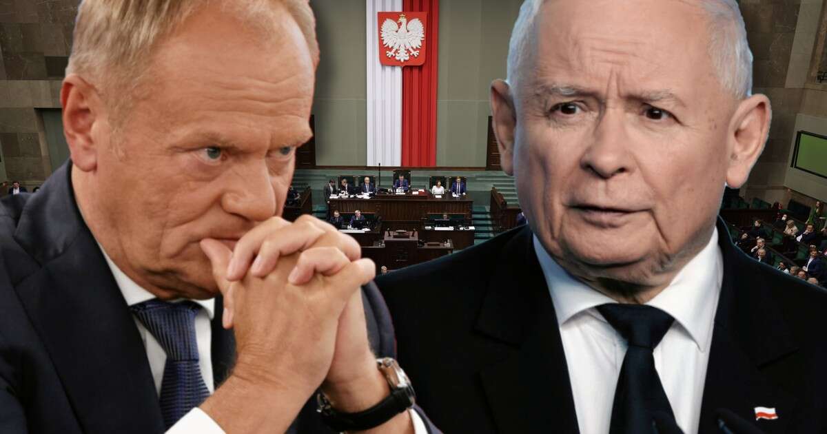 PiS w sondażu wraca na pozycję lidera. Ekspert mówi o 