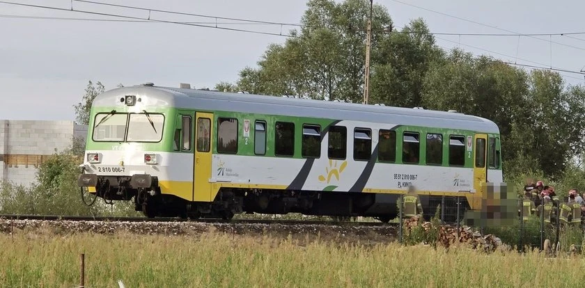 Szynobus Kolei Mazowieckich zderzył się z krową. Zwierzę nie zdążyło uciec