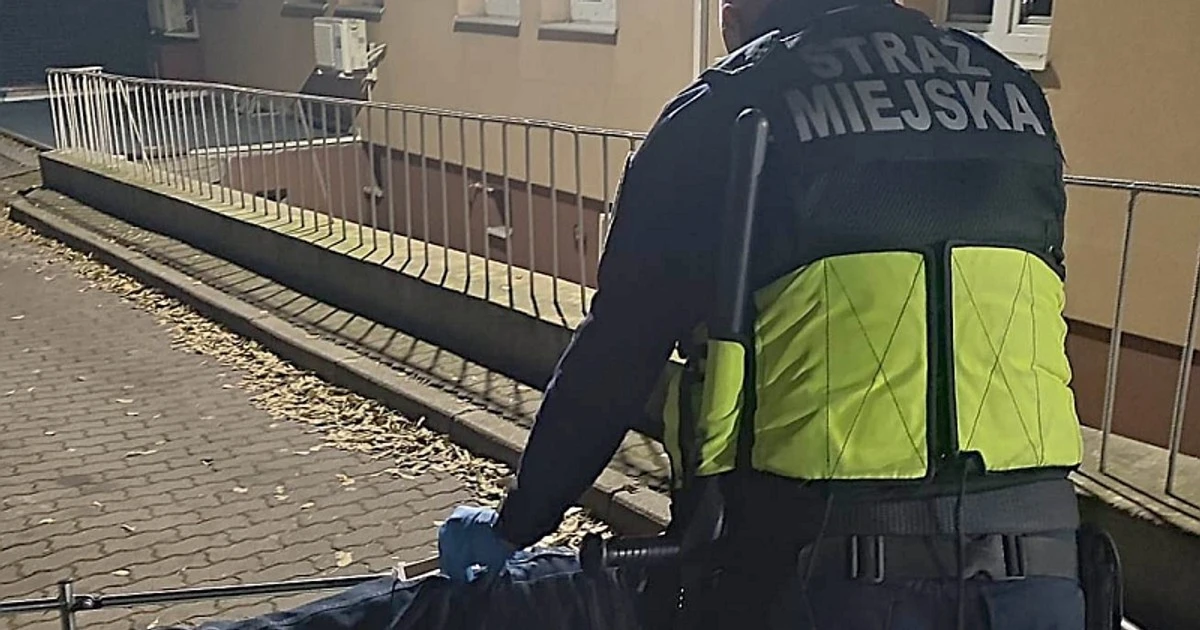 Strażnicy miejscy pomogli zagubionej 80-latce. Seniorka wróciła do rodziny