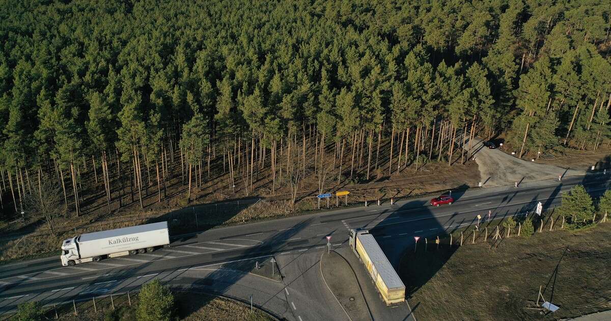 Unijna ustawa o wylesianiu. Bruksela zgadza się na mały kompromis