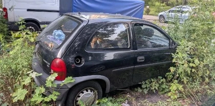 Zobaczyli je zamknięte w porośniętym chwastami aucie. 