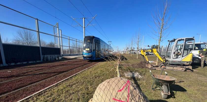 Ulica Kosmonautów będzie bardziej zielona