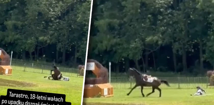 Śmierć na oczach widzów. Ostatni skok Tarastro w Strzegomiu