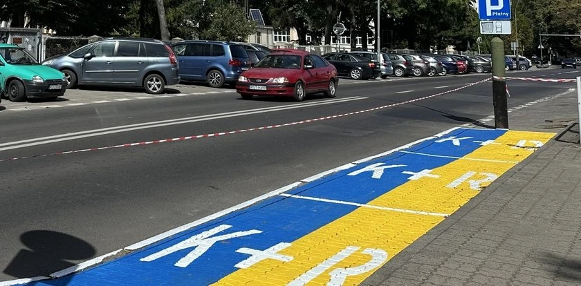 Zobaczyła pasy na ulicy w Rzeszowie i wpadła w szał. 