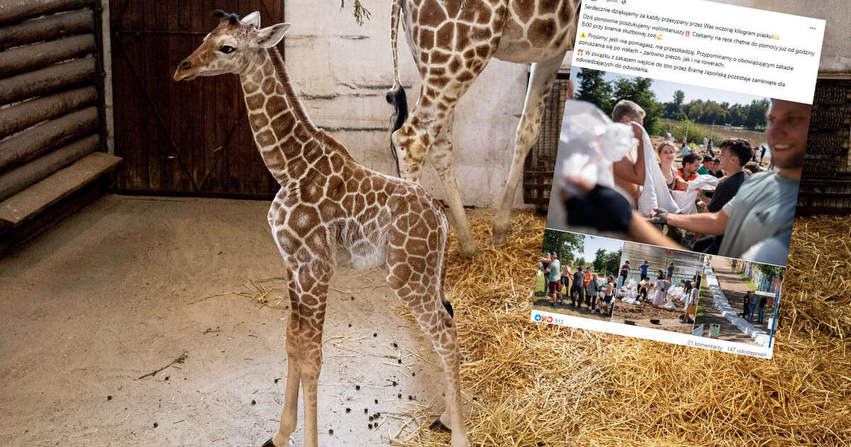 ZOO we Wrocławiu znów apeluje o pomoc. Pojawiła się też prośba. 