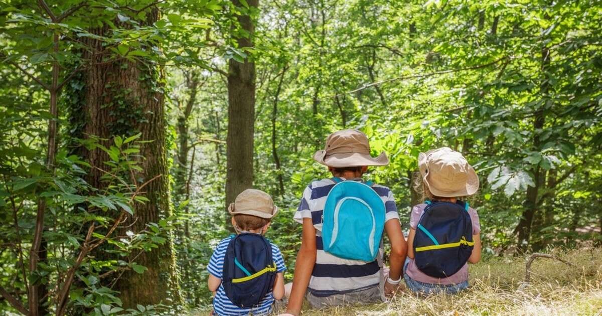 Spore zainteresowanie zielonymi szkołami. Ośrodki pękają w szwach