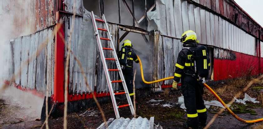 Bezmyślne zachowanie młodego Polaka. Czesi wściekli