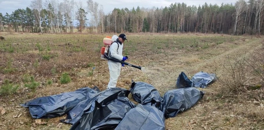Makabryczne znalezisko w lesie. Potwierdziło się najgorsze