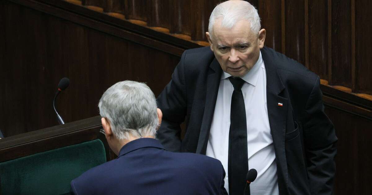 Jarosław Kaczyński miał uderzyć aktywistę. Zbigniew Komosa ma propozycję dla prezesa PiS