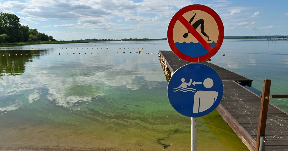 Kąpiel w takiej wodzie może się skończyć źle. Służby apelują o ostrożność