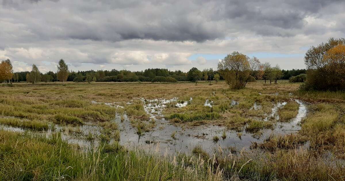 Naukowiec ostrzega. 