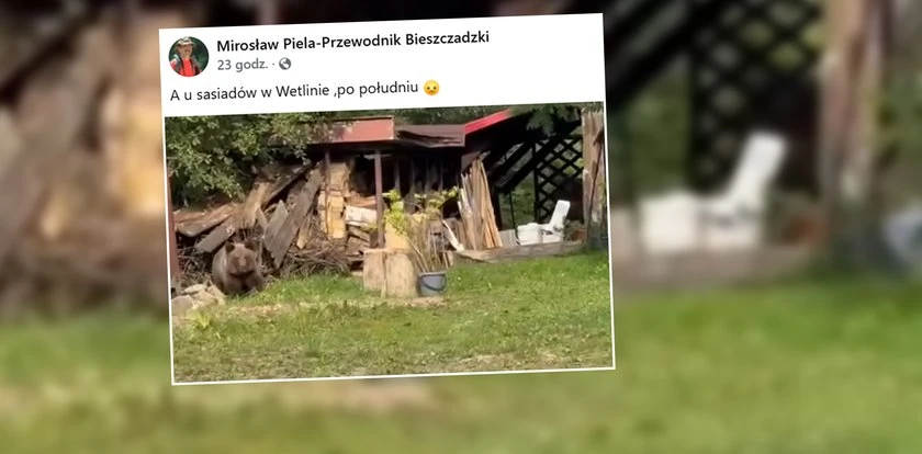 Mieszkańcy zdębieli, gdy zobaczyli go przed domem. 